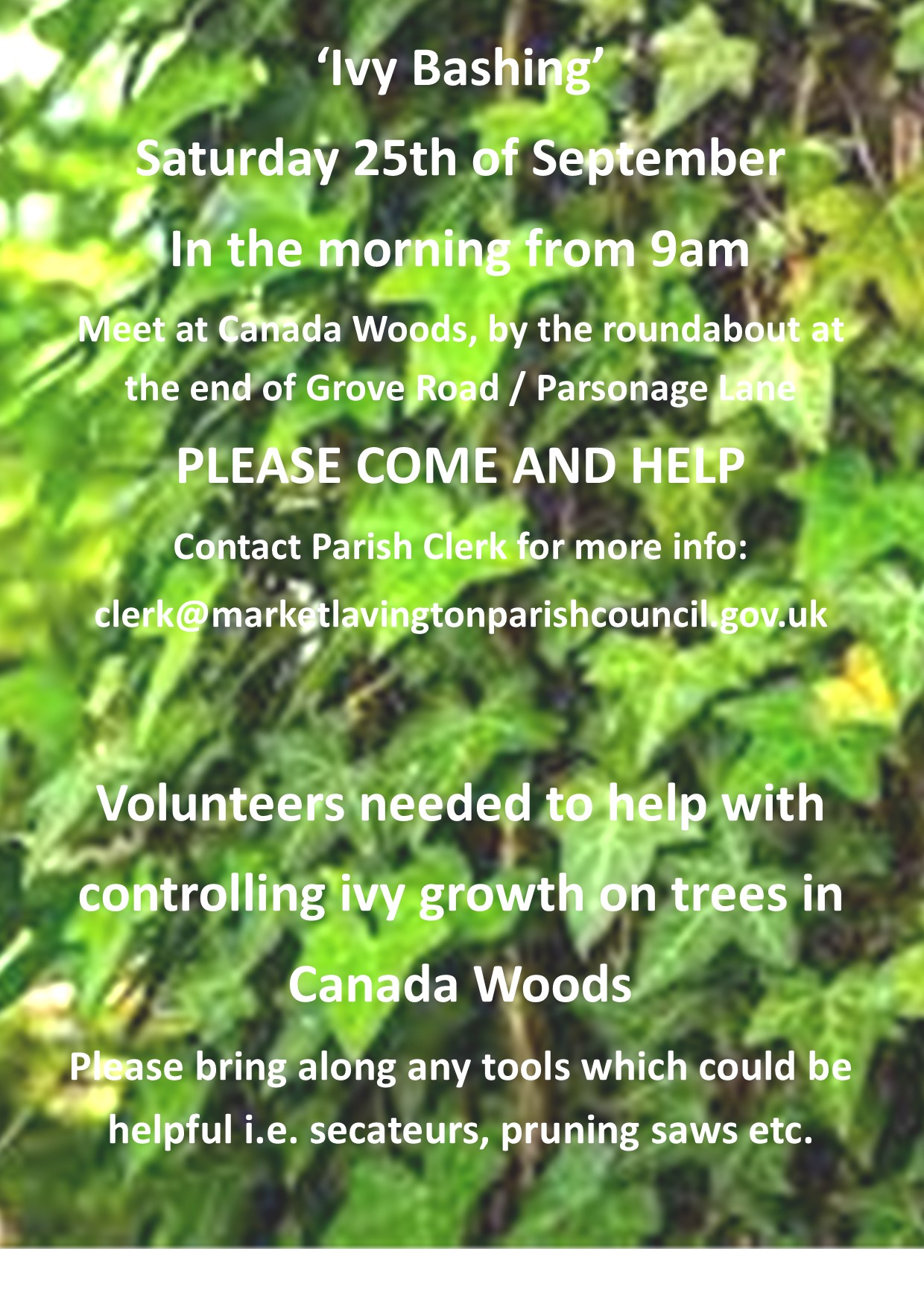 Poster of trees with ivy on providing details of ivy bashing event